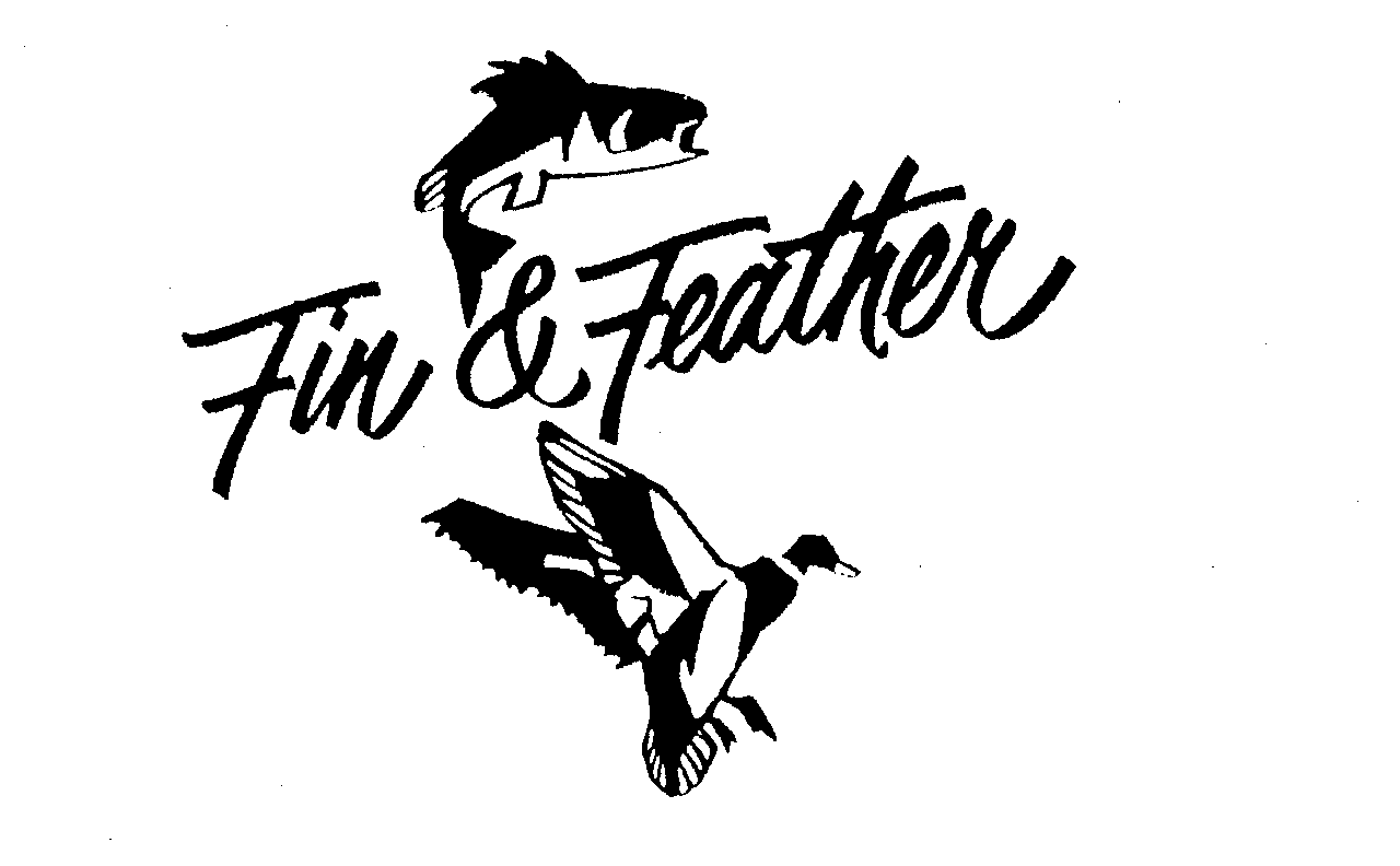 FIN &amp; FEATHER