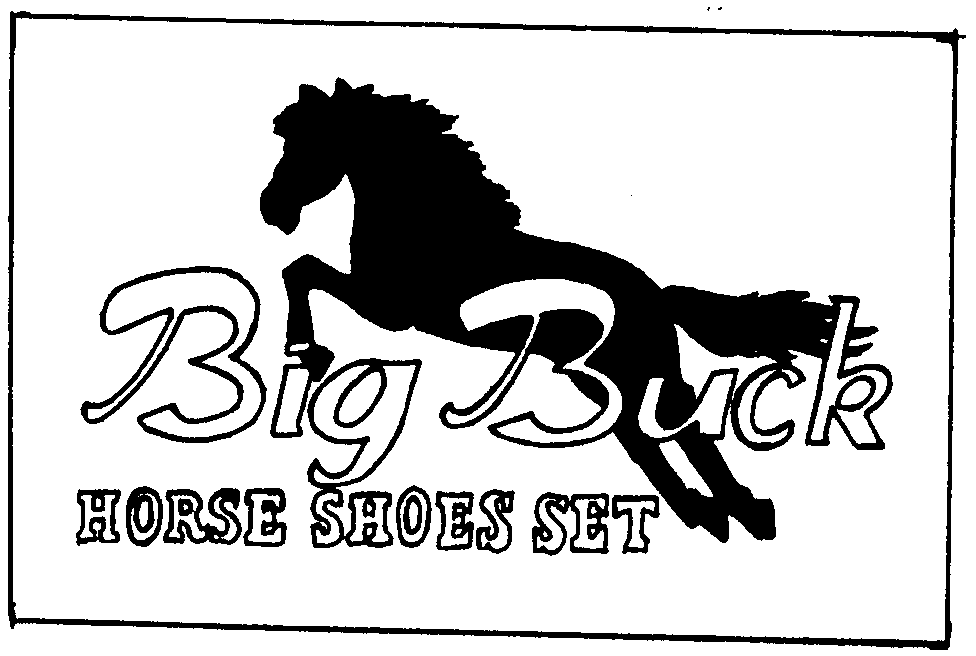  BIG BUCK HORSE SHOES SET
