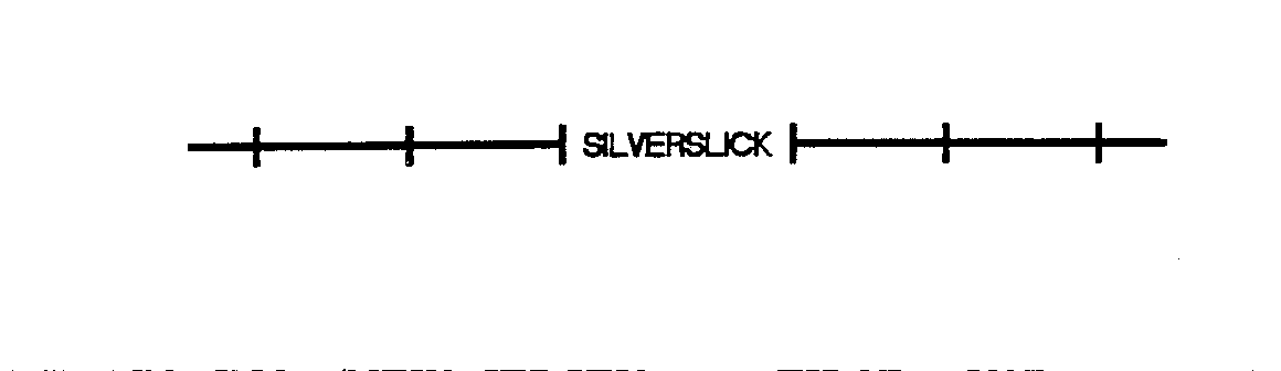  SILVERSLICK