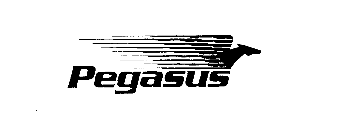  PEGASUS