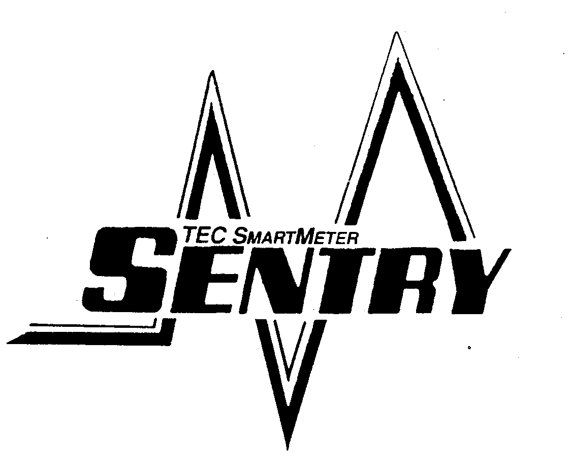  TEC SMARTMETER SENTRY