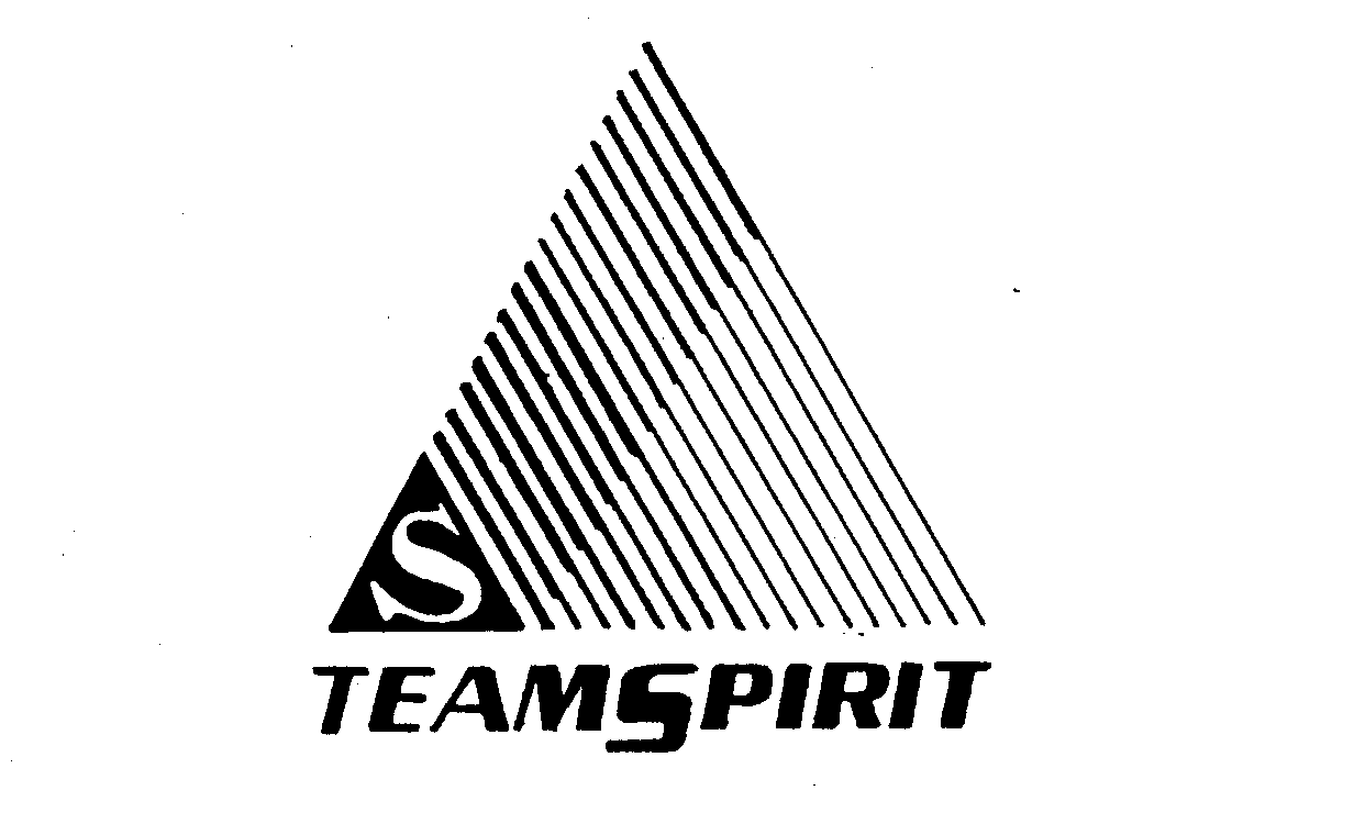 Trademark Logo S TEAMSPIRIT