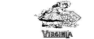 Trademark Logo VIRGINIA