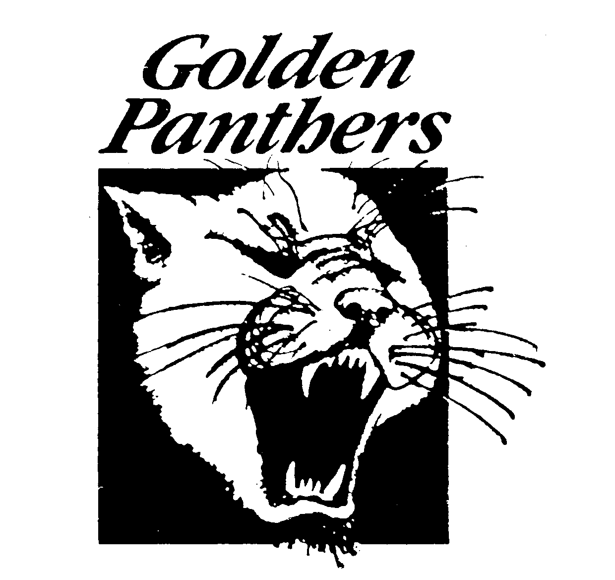  GOLDEN PANTHERS