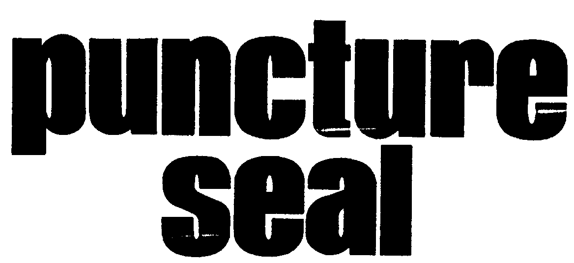  PUNCTURE SEAL