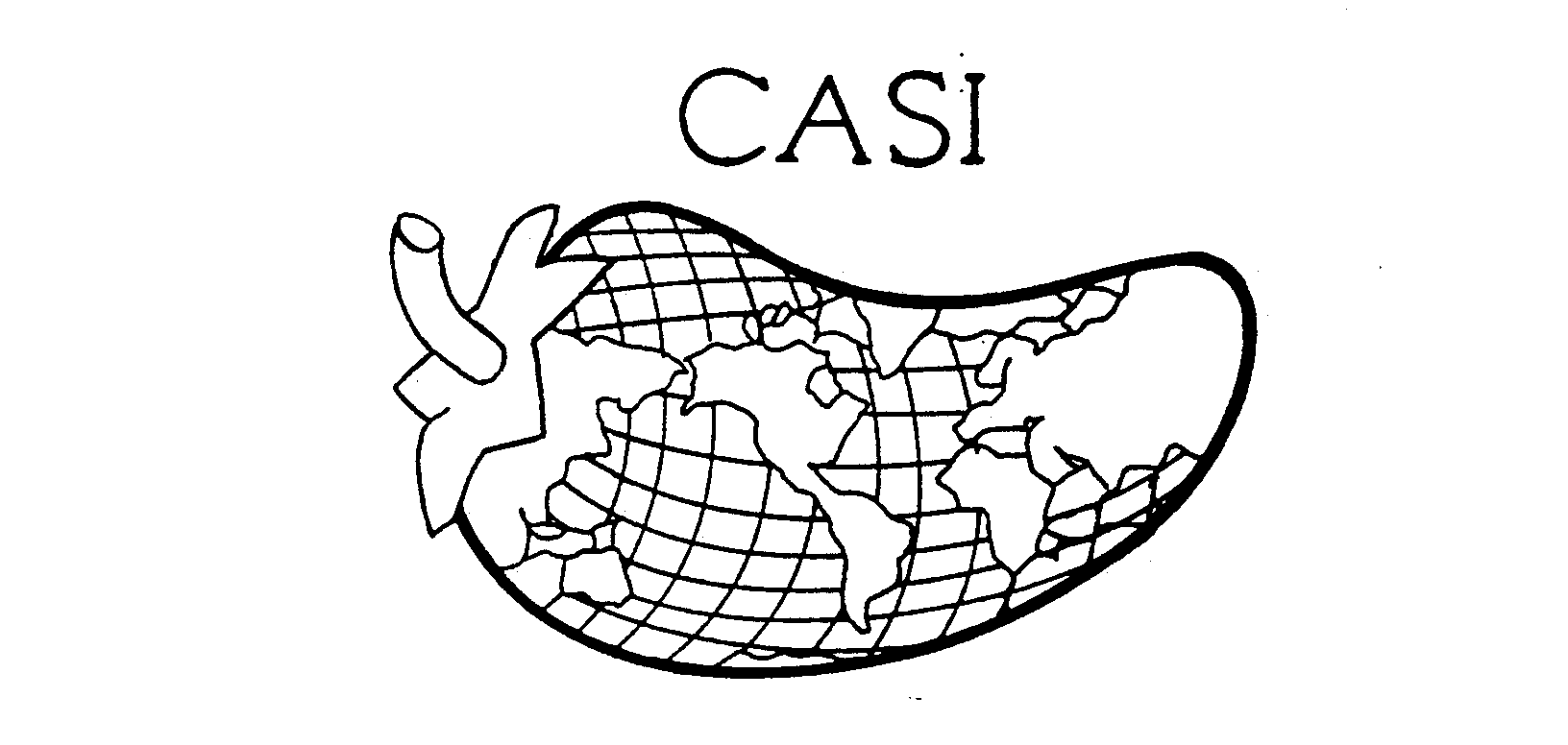 CASI