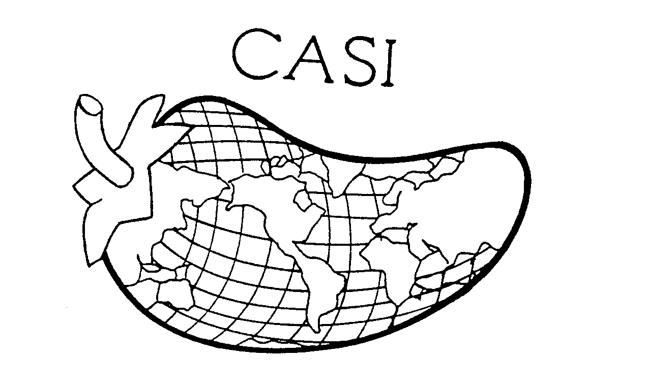 Trademark Logo CASI