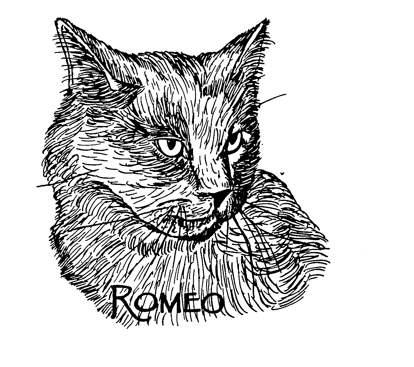  ROMEO