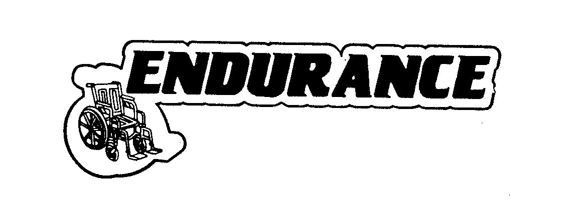 Trademark Logo ENDURANCE