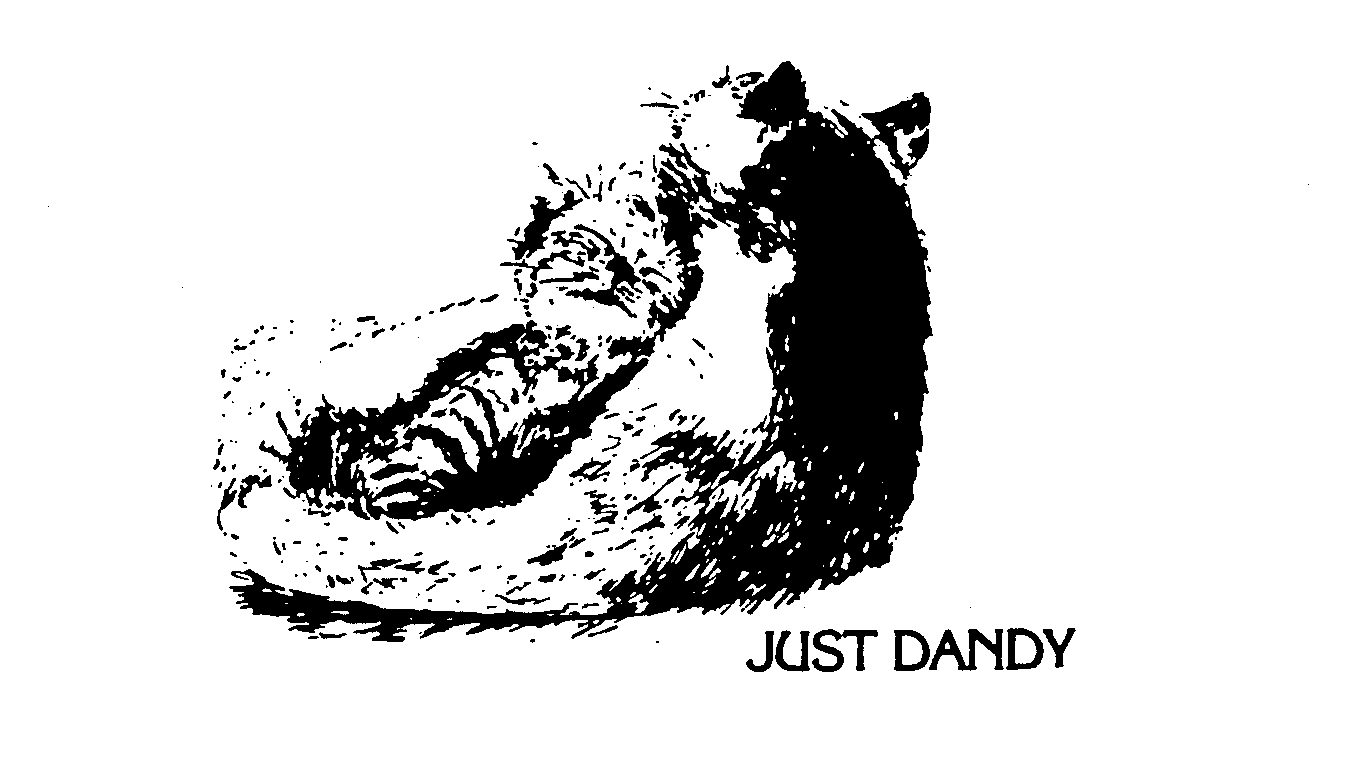 JUST DANDY