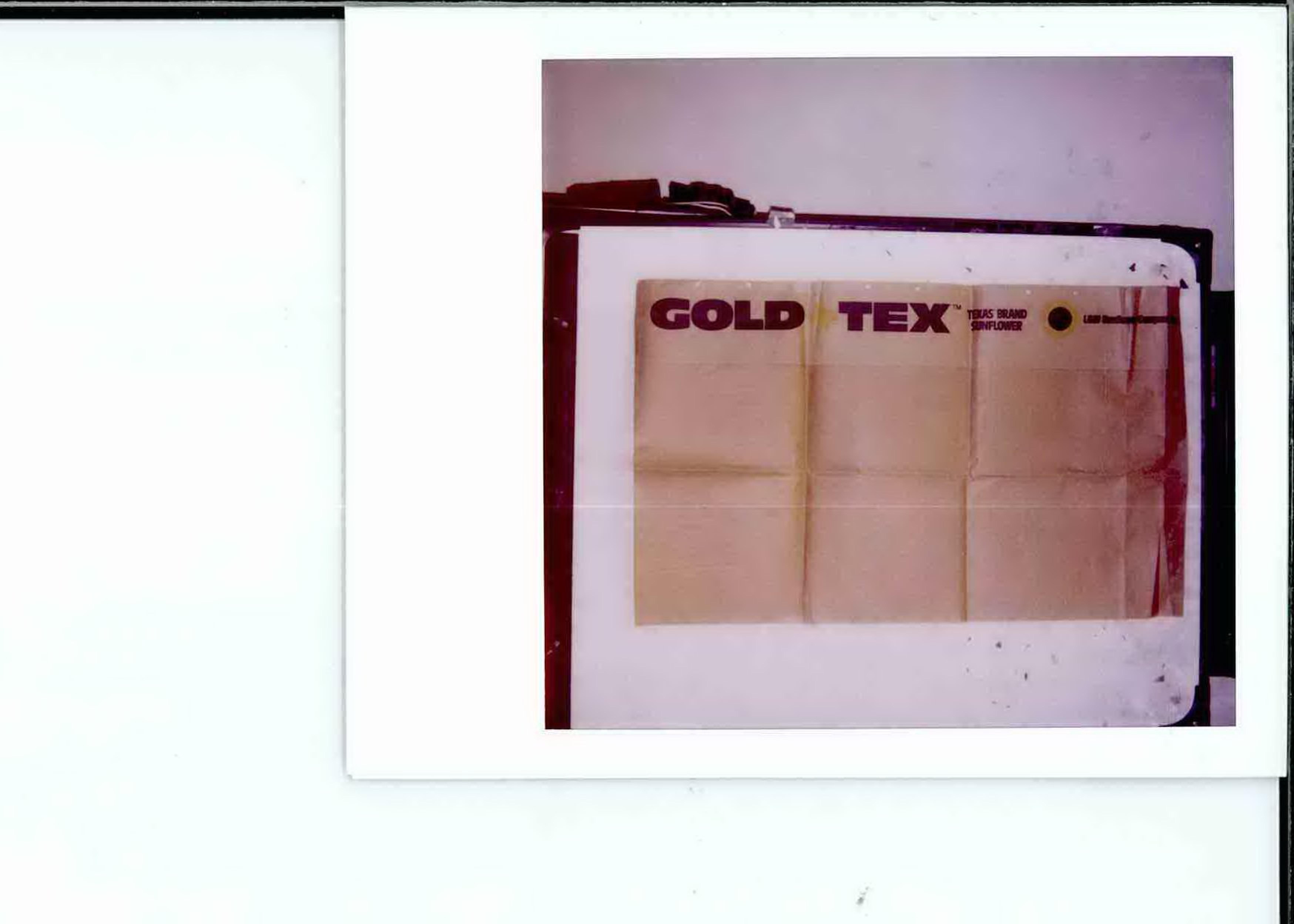Trademark Logo GOLD TEX