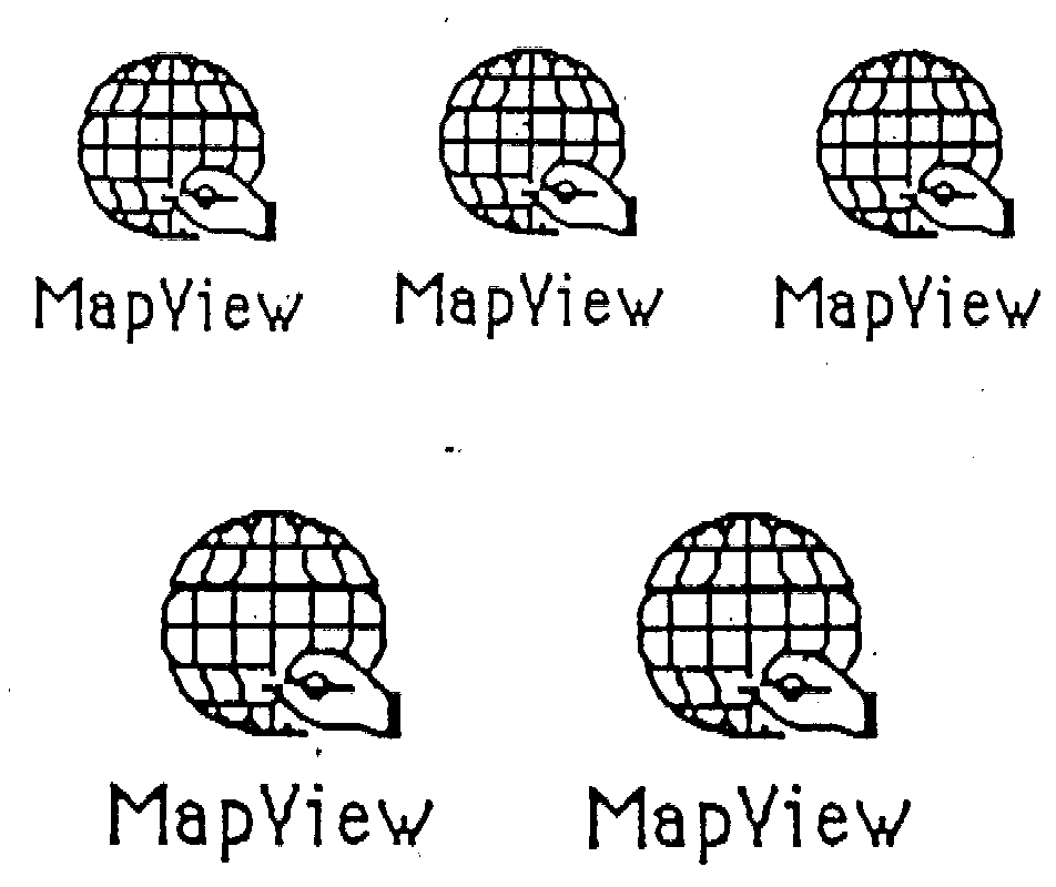 MAPVIEW