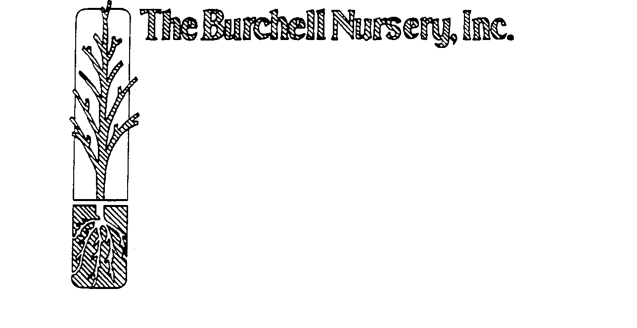 Trademark Logo THE BURCHELL NURSERY, INC.