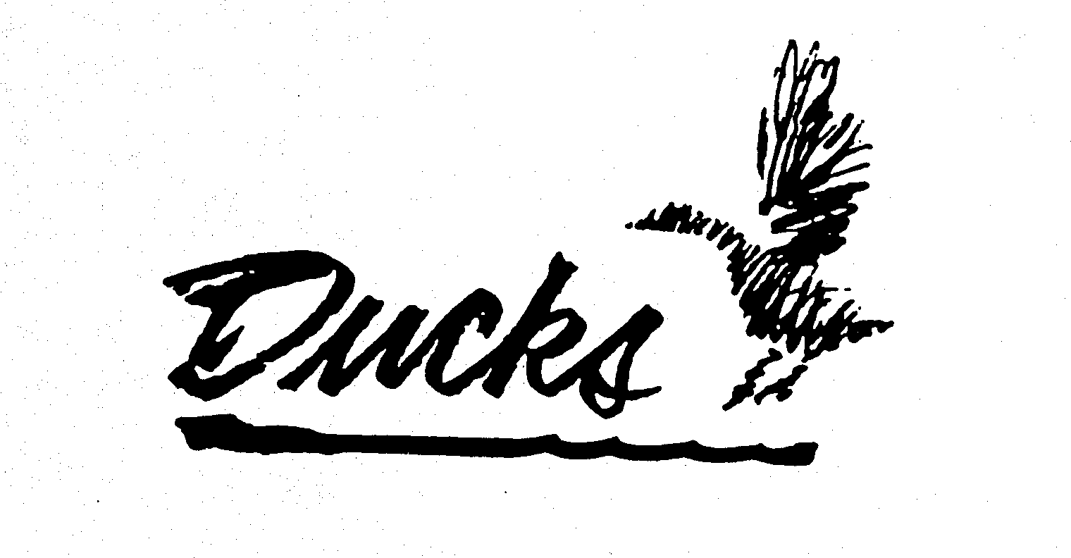 Trademark Logo DUCKS