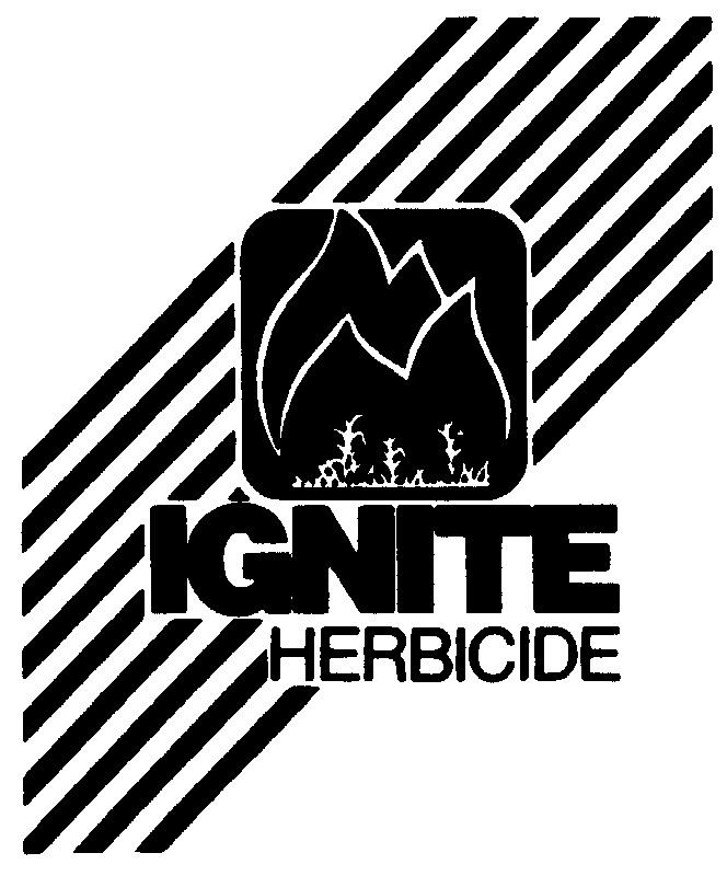  IGNITE HERBICIDE