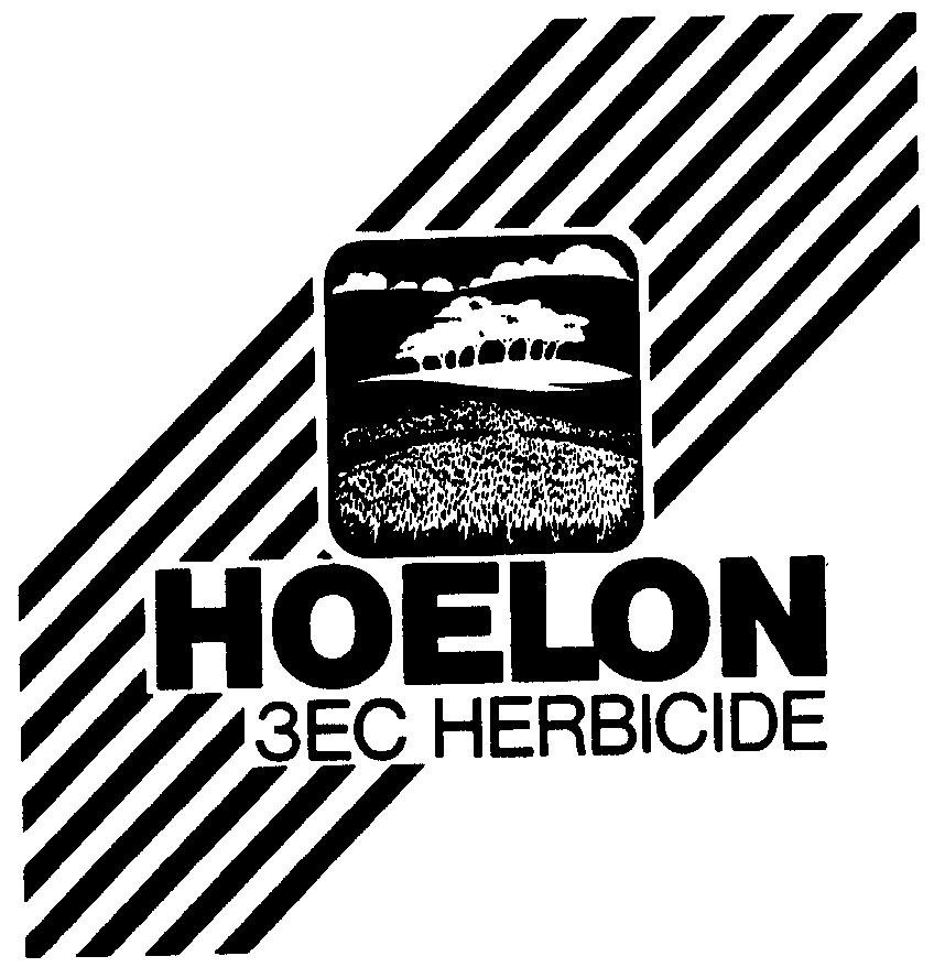  HOELON 3EC HERBICIDE
