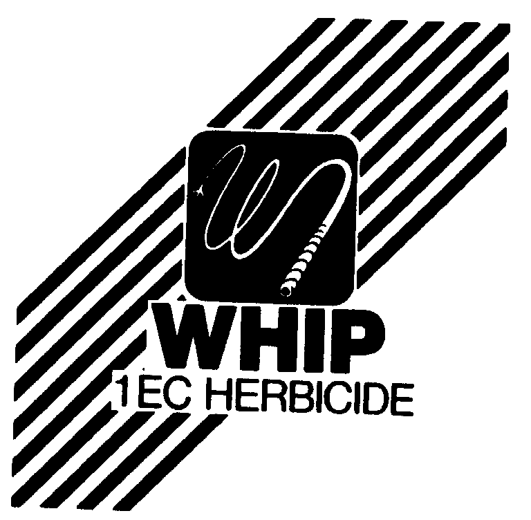  WHIP 1EC HERBICIDE