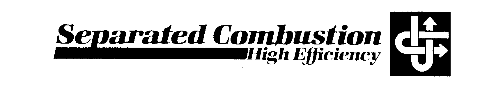 Trademark Logo SEPARATED COMBUSTION HIGH EFFICIENCY