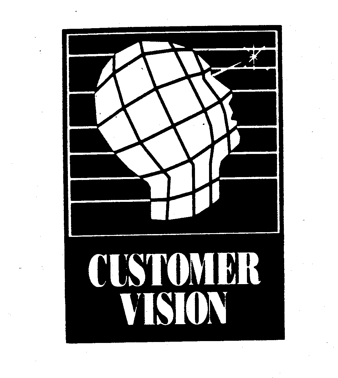  CUSTOMER VISION