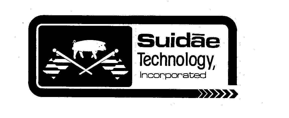  SUIDAE TECHNOLOGY, INCORPORATED