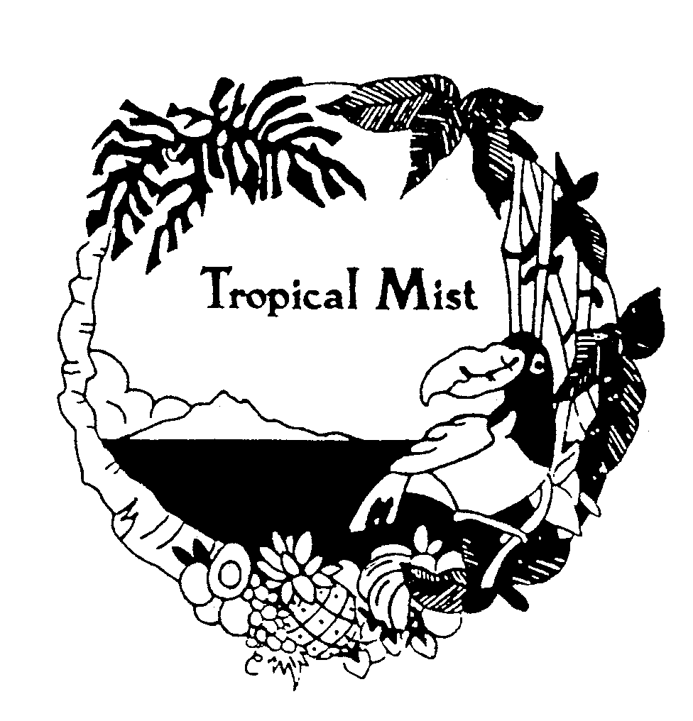 TROPICAL MIST