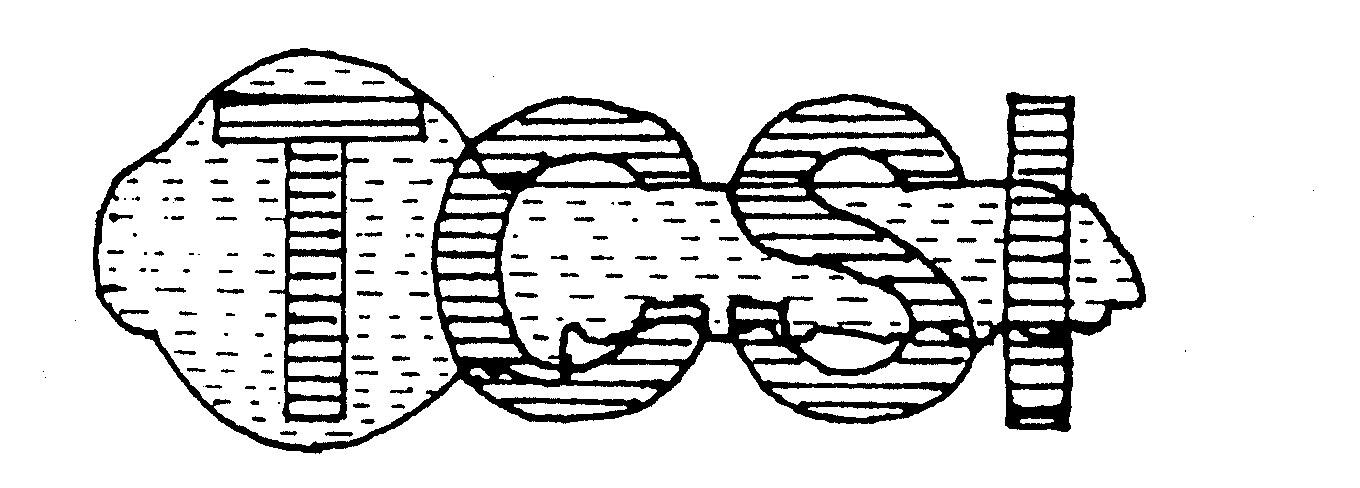 Trademark Logo TCSI