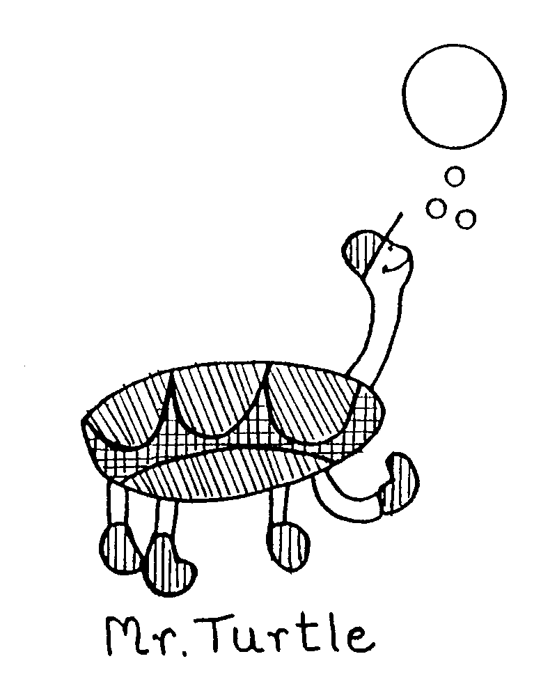 Trademark Logo MR. TURTLE