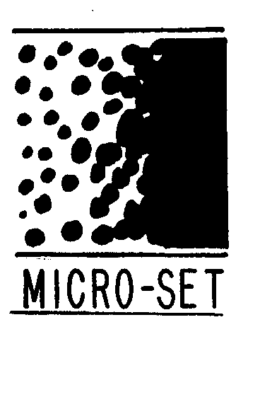 Trademark Logo MICRO-SET
