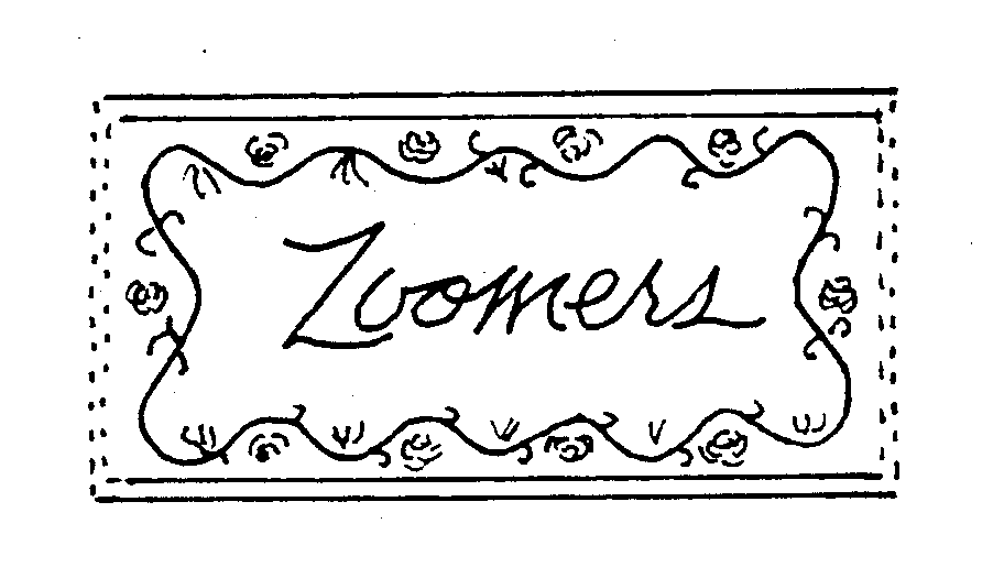 ZOOMERS