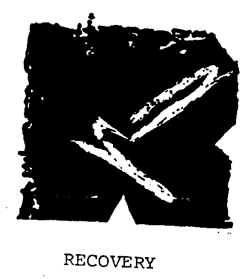 Trademark Logo RECOVERY