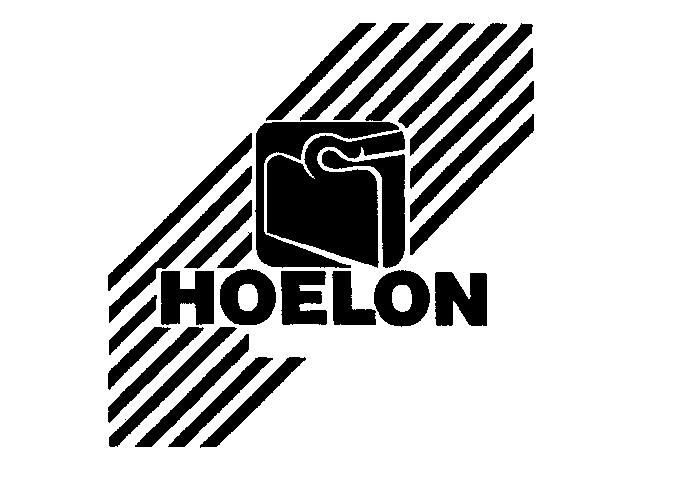  HOELON