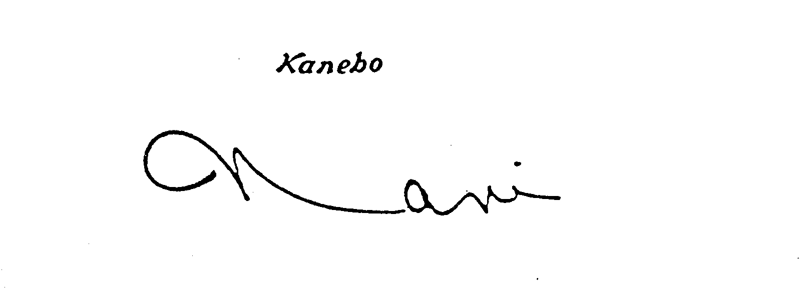 Trademark Logo KANEBO NAVI
