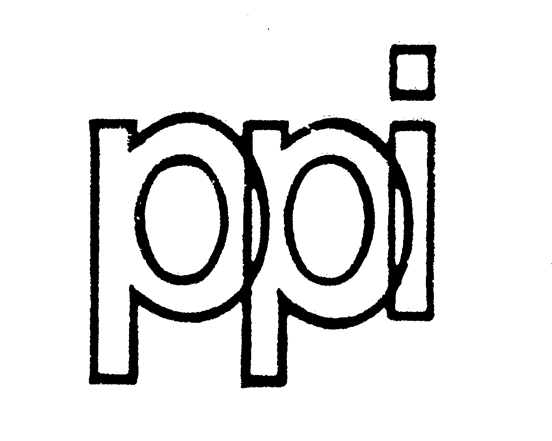  PPI