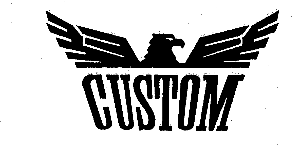 Trademark Logo CUSTOM