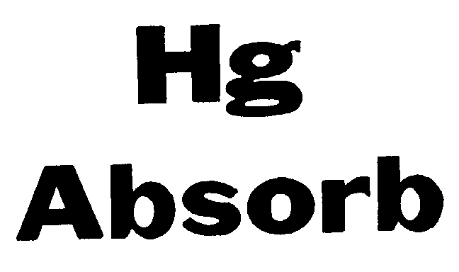Trademark Logo HG ABSORB