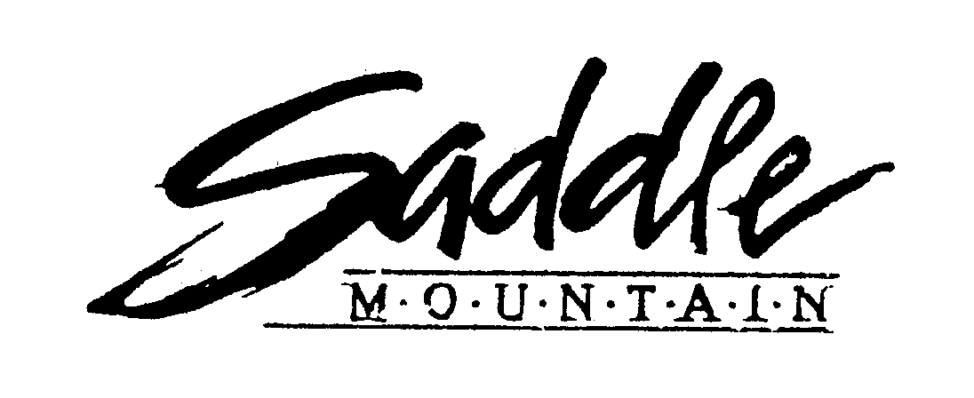 Trademark Logo SADDLE MOUNTAIN