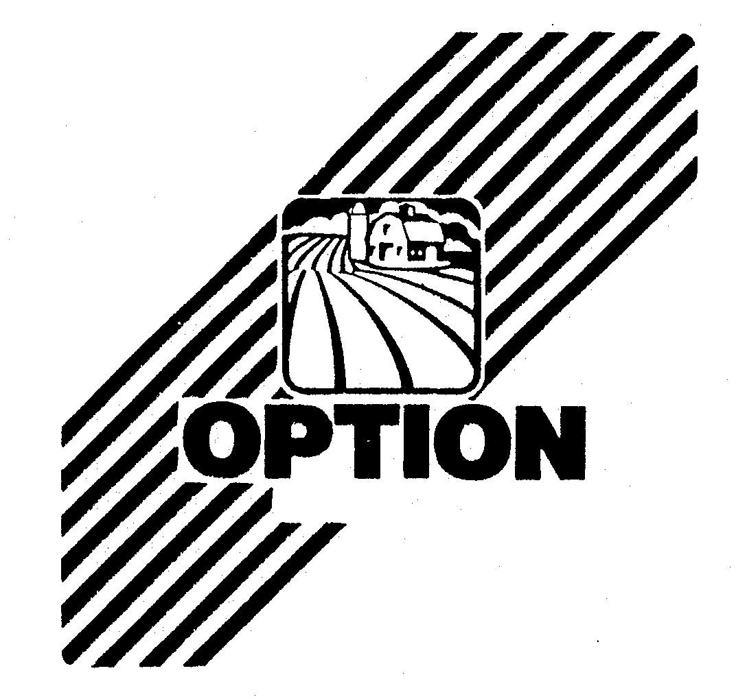 Trademark Logo OPTION