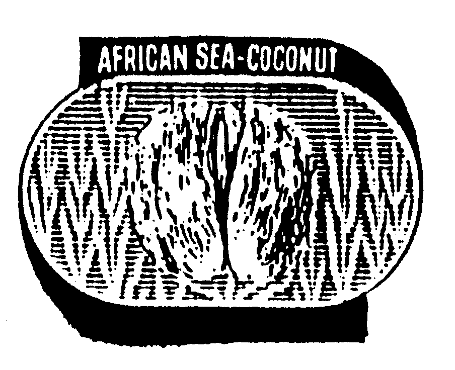 Trademark Logo AFRICAN SEA-COCONUT