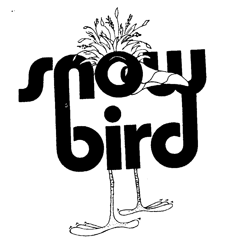  SNOW BIRD