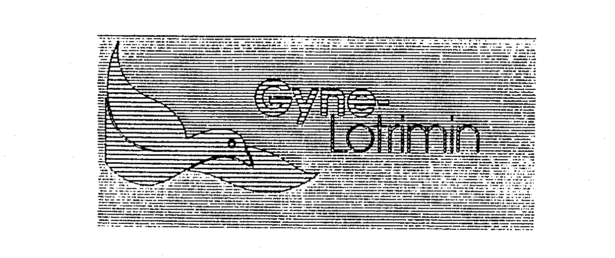  GYNE-LOTRIMIN