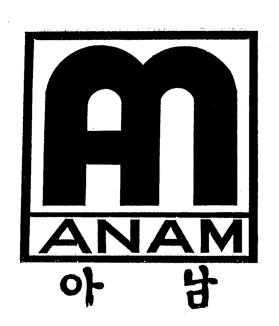  AN ANAM