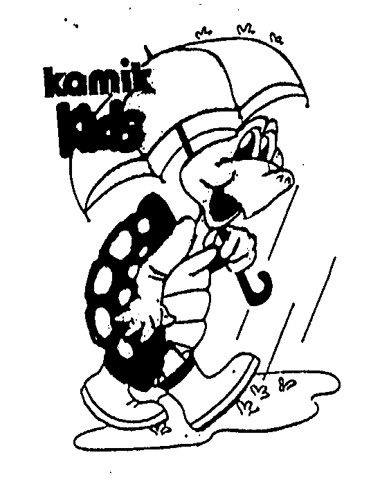  KAMIK KIDS