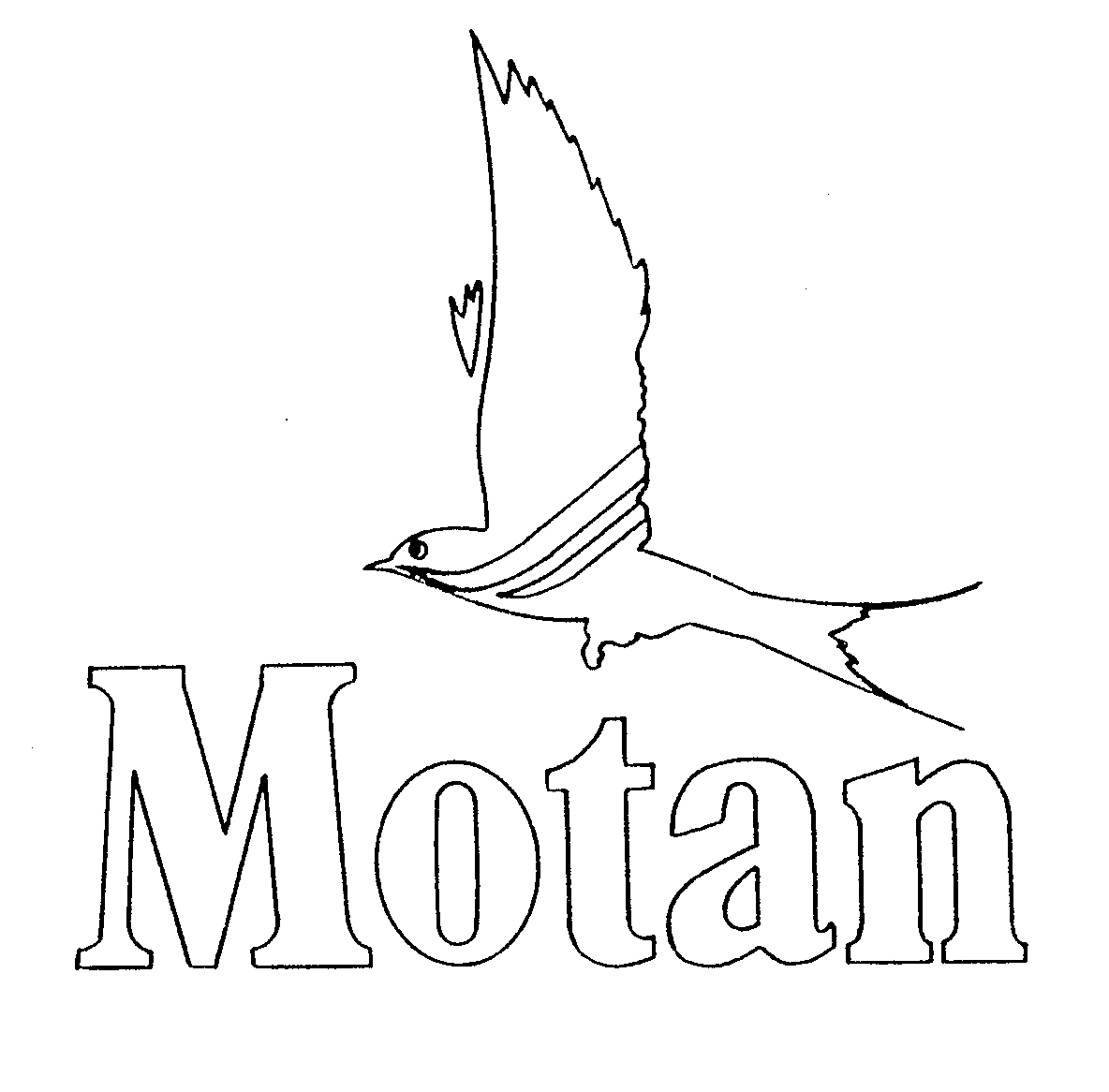  MOTAN