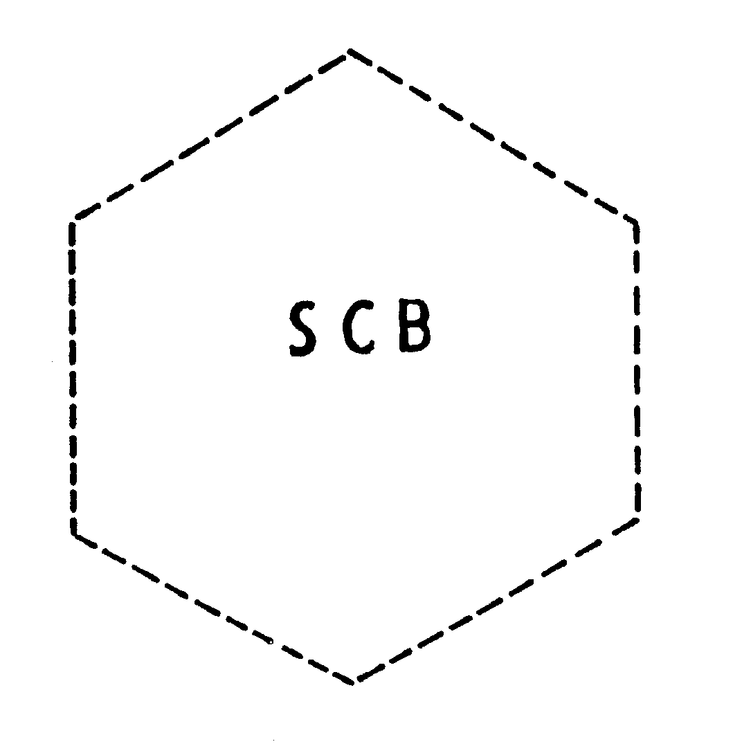 Trademark Logo SCB