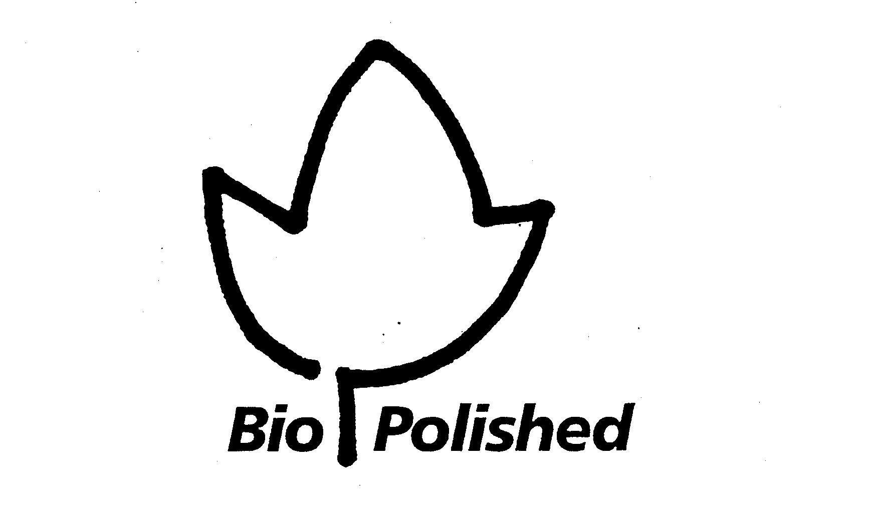  BIO POLISHED