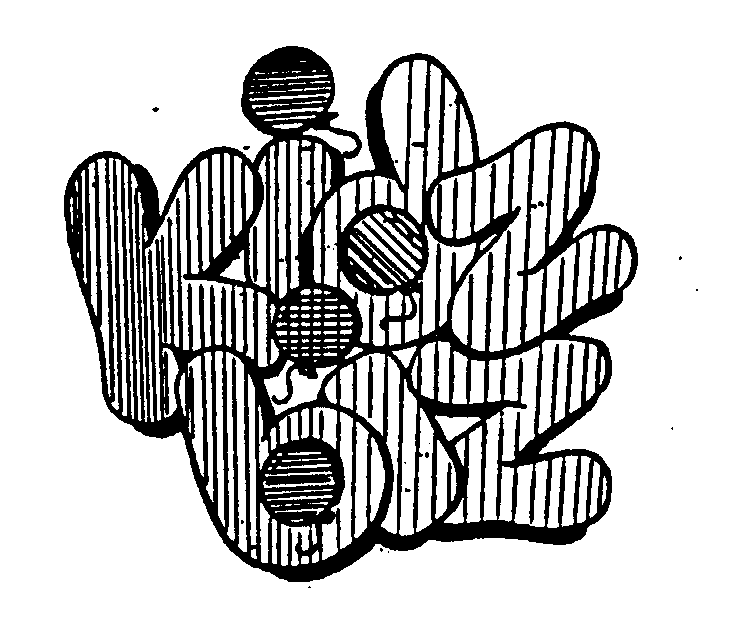 Trademark Logo KIDZBIZ