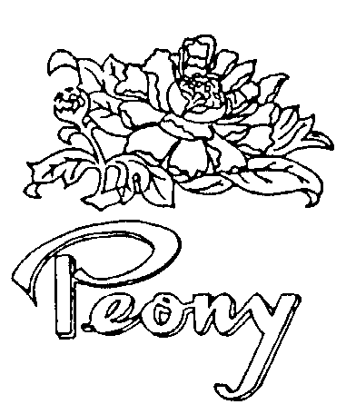 PEONY