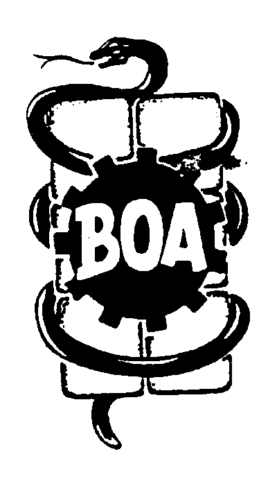  BOA