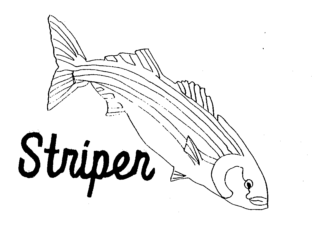 Trademark Logo STRIPER