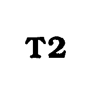 Trademark Logo T2